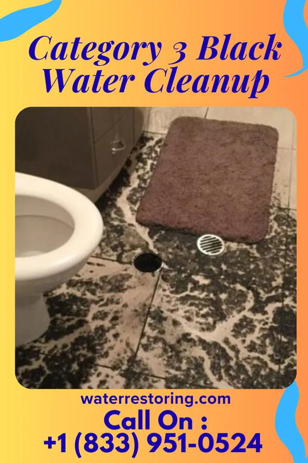 Category 3 Black Water Cleanup in Edgewater Estates, TX