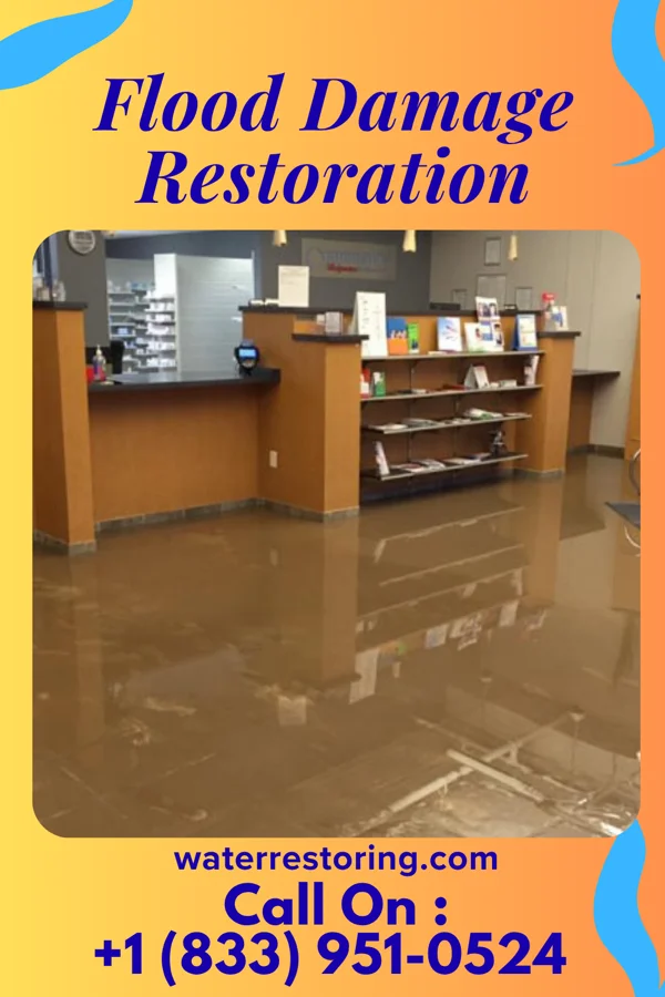 Flood Damage Restoration in Edgewater Estates, TX