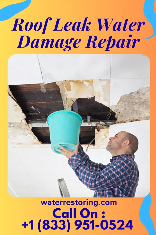 Roof Leak Water Damage Repair in Edgewater Estates, TX