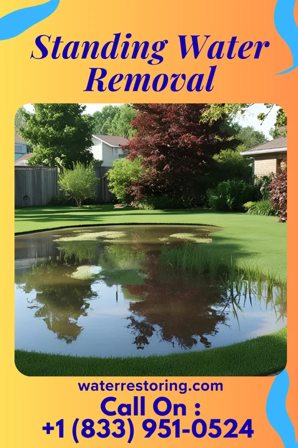 Standing Water Removal in Edgewater Estates, TX